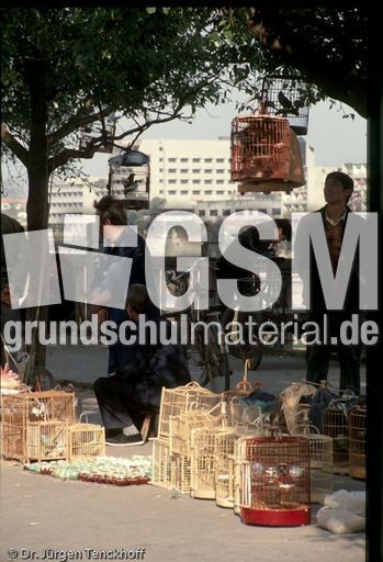 China (253 von 257).jpg